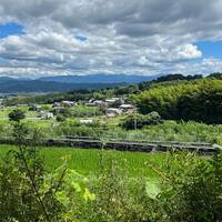 画像336