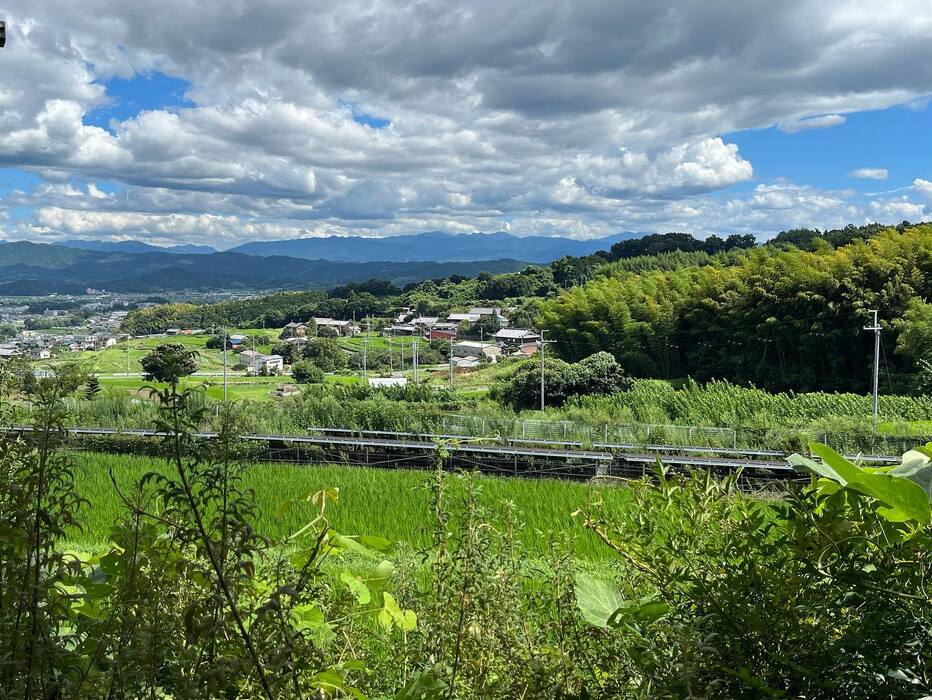 画像336