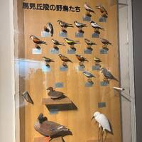 画像360