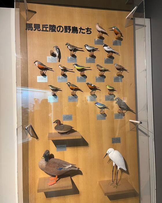 画像360