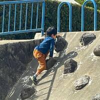 画像385