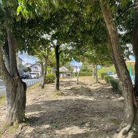 画像386