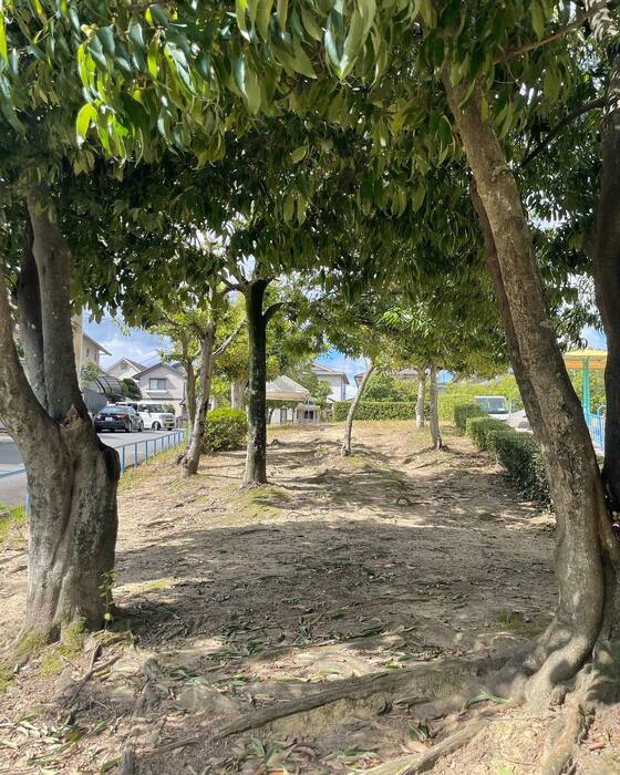 画像386