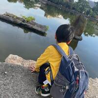 画像395