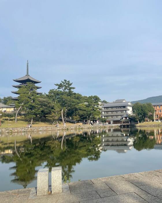 画像398