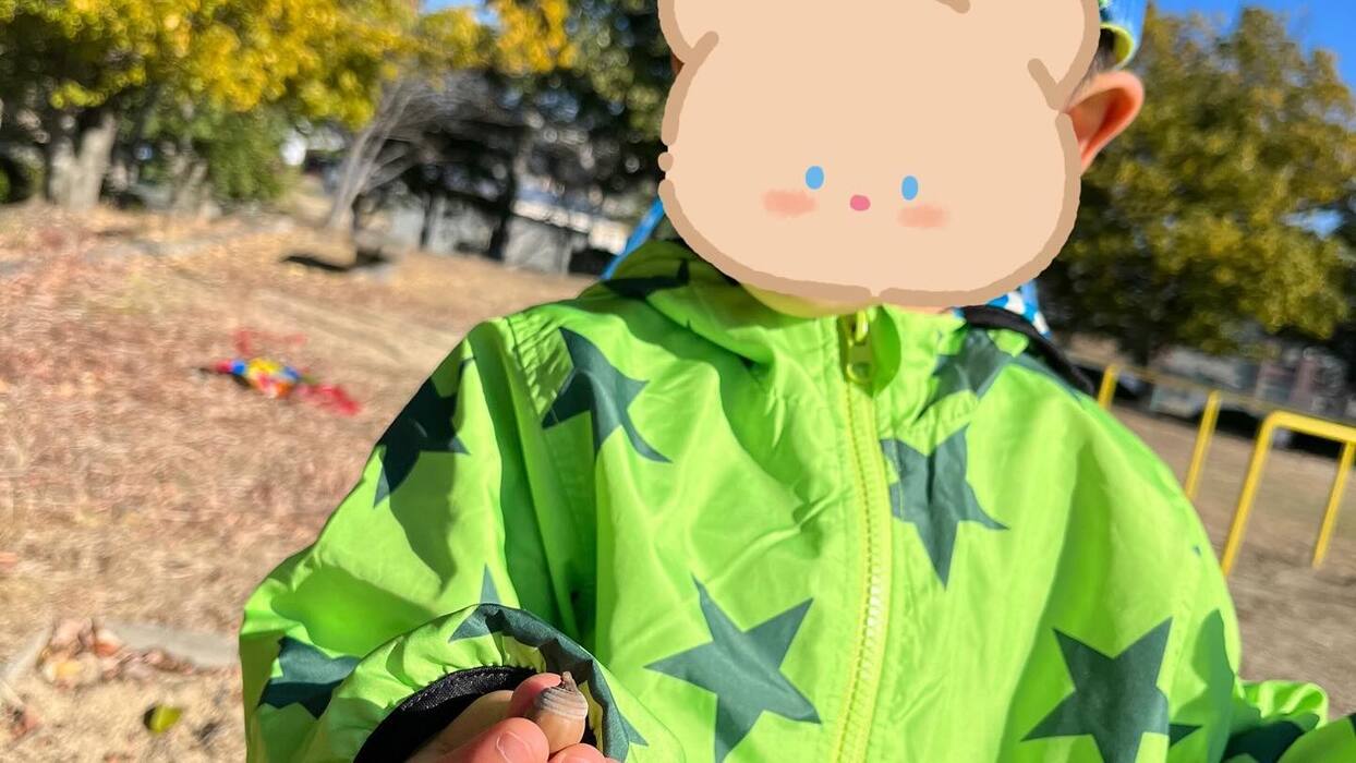 画像442